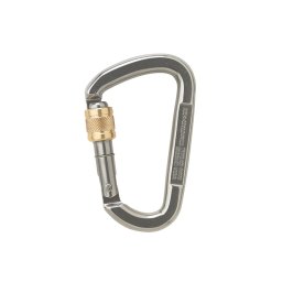 Carabiniera D Asymm Stainless Steel Screwl Polished 40Kn