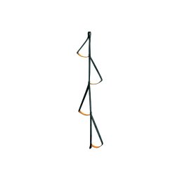 Scarita Looping C25