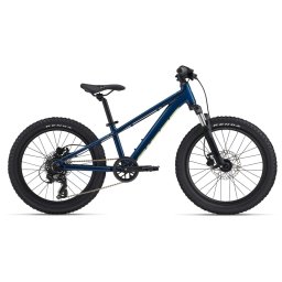 Bicicleta Copii Giant STP FS 20” Blue Palace