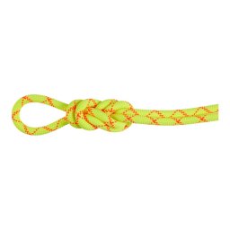 Coarda Dinamica Mammut 9.5 Alpine Core Protect Dry Rope 80m 80 M