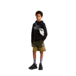 Hanorac Copii The North Face Drew Peak Light Reg Black