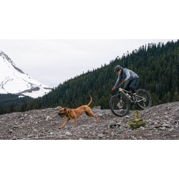 Specialized - jacheta ciclism vreme rece pentru barbati Trail-Series Alpha - negru