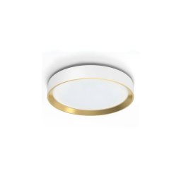 Plafonieră LED dimabilă Philips HANNO LED/24W/230V 4000K alb