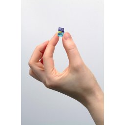 Card memorie RIVAL M2AA 256 GB MicroSDXC V30 A2 UHS-I U3 + adapter
