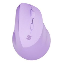 Mouse Crake 2 mouse Universal Right-hand RF Wireless + Bluetooth Optical 2400 DPI