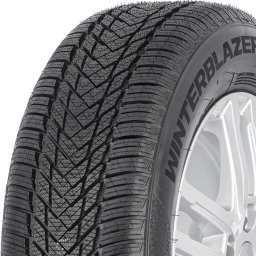 Triangle 195/55 R16 WinterX TW401 91H XL