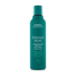 Botanical Repair™ Strengthening Shampoo - Posilující šampon pro poškozené vlasy