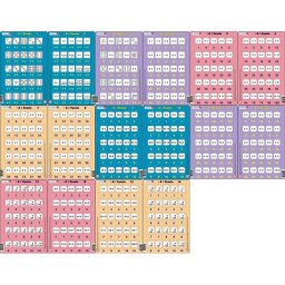 Set 16 Puzzle-uri Inmultire si Impartire, 25 Piese Larsen LRP_49