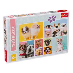 Puzzle Trefl din 160 de piese - Caini draguti