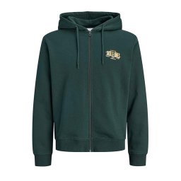 JACK & JONES Jachetă Jjaero 12298494 19-5350 TCX scarab