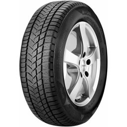 Sunny 215/50 R17 Winter-MaX A1 NW211 95V XL