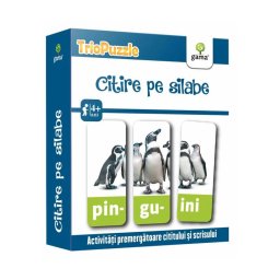 Citire pe silabe