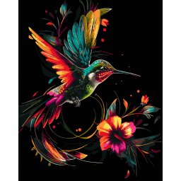 Set pictura pe numere, cu sasiu, Colibri - canvas negru, 40x50 cm