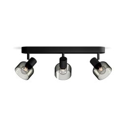 Spot Philips SLEET 3xE14/25W/230V
