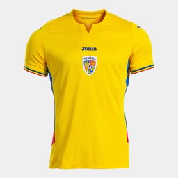Tricou oficial de joc FRF 1ST - Galben, S