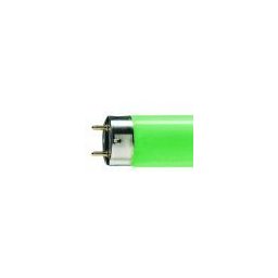 Tub fluorescent Philips verde, 36W, 4300 lm, pentru iluminat decorativ