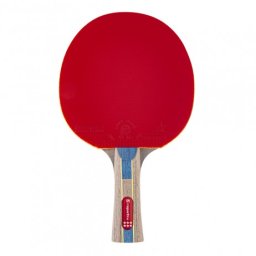 Paleta tenis de masa inSPORTline Shootfair S6