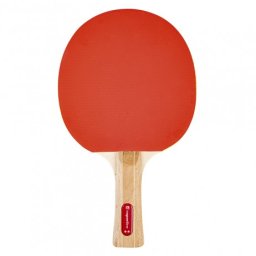 Paleta tenis de masa inSPORTline Shootfair S2