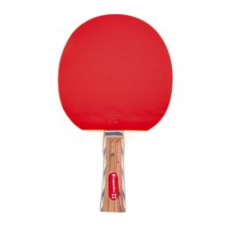 Paleta tenis de masa inSPORTline Shootfair S4