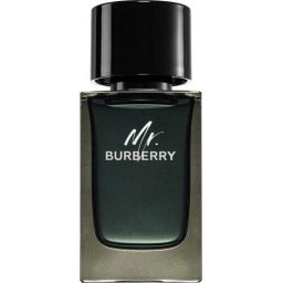 Parfumuri Tester Burberry Mr. Burberry EDP M 100 ml Tester