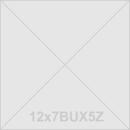 GOODYEAR 225/55 R17 UG PERFORMANCE +* XL 101H