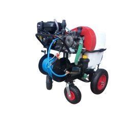 Pulverizator mobil Gardelina DVS BE100 Briggs & Stratton Electric Start