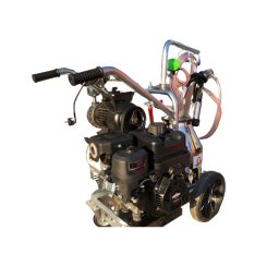 Mulgatoare GREEN LINE T240 INOX IC cu motor Briggs Stratton 7 CP