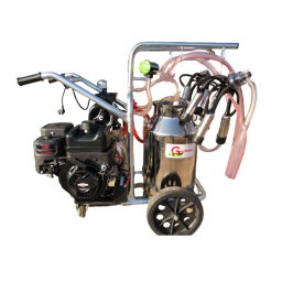 Mulgatoare Gardelina T240 INOX IC cu motor Briggs Stratton 7 CP Electric Start
