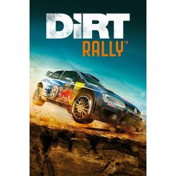 DiRT Rally (PC - Steam Key)