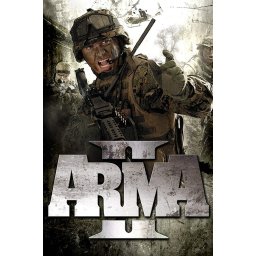 Arma 2 (PC - Steam Key)