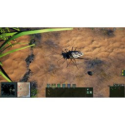 Empires of the Undergrowth (PC - Steam Key)
