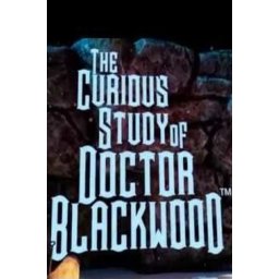 The Curious Expedition (PC - Steam Key)