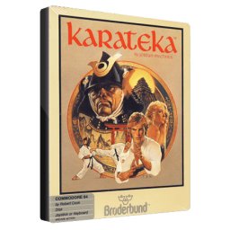 Karateka (PC - Steam Key)