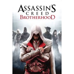 Assassin's Creed: Brotherhood (EU) (PC - Ubisoft Connect Key)