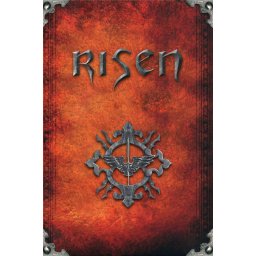 Risen (PC - Steam Key)