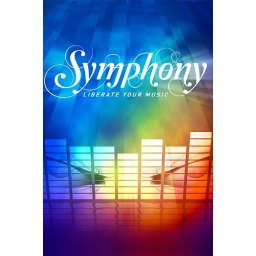 Symphony (PC - Steam Key)