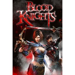 Blood Knights (PC - Steam Key)