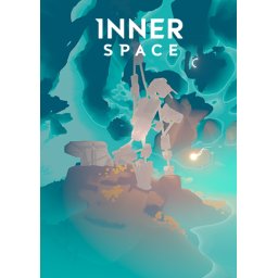 InnerSpace (PC - Steam Key)