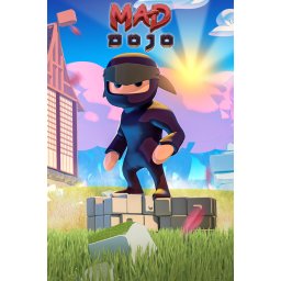 Mad Dojo (PC - Steam Key)