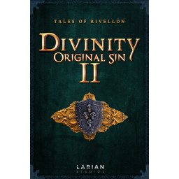 Divinity: Original Sin II (GOG) (PC - GOG Key)