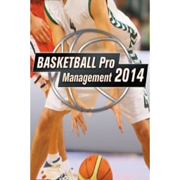 Basketball Pro Management 2014 (EU) (PC - Steam Key)