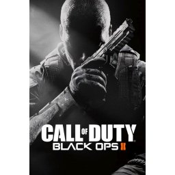 Call of Duty: Black Ops 2 (PC - Steam Key)