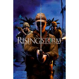 Rising Storm Franchise Bundle (PC - Steam Key)