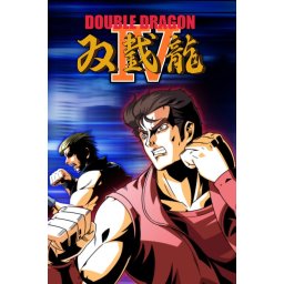 Double Dragon IV (PC - Steam Key)