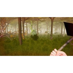 Forest Woodman (PC - Steam Key)