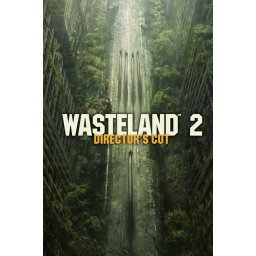 Wasteland 2: Director's Cut (PC - Steam Key)