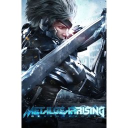 Metal Gear Rising - Revengeance (EU) (PC - Steam Key)