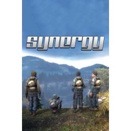Synergy (EU) (PC - Steam Key)