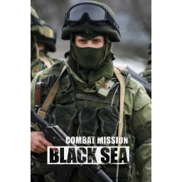 Combat Mission Black Sea (PC - Steam Key)