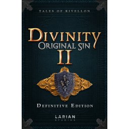 Divinity: Original Sin 2 (Definitive Edition) (GOG) (PC - GOG Key)